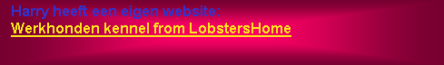 Tekstvak:   Harry heeft een eigen website:   Werkhonden kennel from LobstersHome